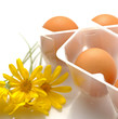 Bio eggs - Uova biologiche