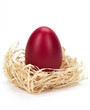 red egg in a nest red egg in a nest