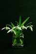 Foto: Schneeglockchen im Glas Schneeglockchen im Glas