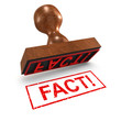 3d Rubber Stamp - "Fact!"