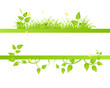 Floral background