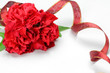 carnation