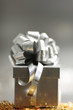 holyday gifts