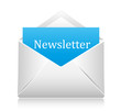 Newsletter Brief