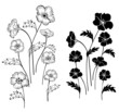 silhouettes delicate flowers