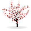 Ribbon tree Ribbon tree