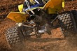Quad dust