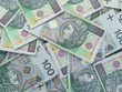 Polish zloty