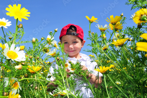 Foto: Frühling Frühling