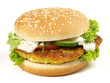Veggie Burger Veggie Burger