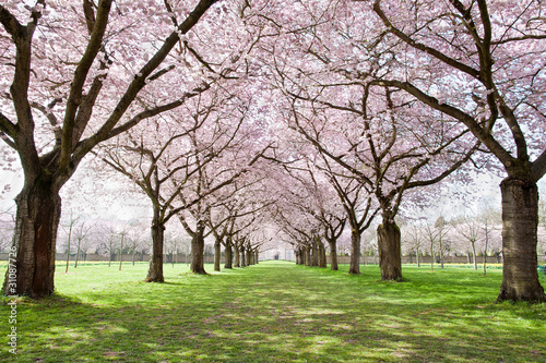 Photo: Allee Allee