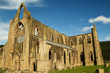 Tintern Abbey