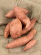 ����: Sweet Potatos � Kitch Bain #31090921