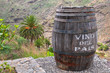 Lanzarote Wine against Volcanic Landscape, Canary, Spain