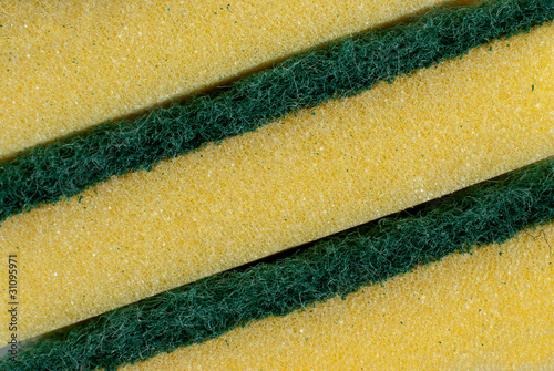 Photo: Sponge detail Sponge detail