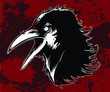 Evil Crow