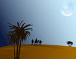 Desert at night Desert at night