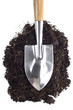 Foto: home gardening home gardening