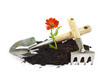 Foto: home gardening home gardening