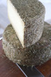 Formaggio pecorino