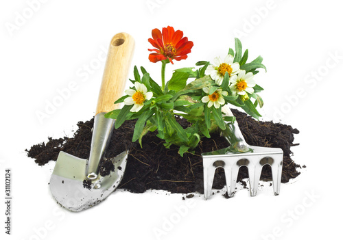 Foto: home gardening home gardening