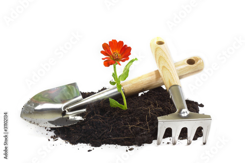 Foto: home gardening home gardening