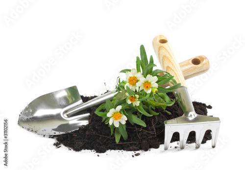 Foto: home gardening home gardening