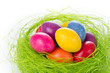 easter eggs in nest
