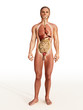 men's internal organs men's internal organs