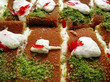 Knefeh Platter