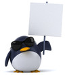 Pingouin et lunettes de soleil