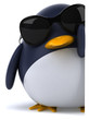 Pingouin et lunettes de soleil