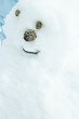 Snowman, portrait, close-up