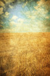 in the fields