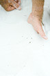Man with hand half-buried in sand, cropped view, close-up