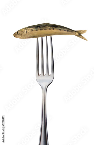 Foto: diät / gabel mit einer geräucherten sardine diät / gabel mit einer geräucherten sardine