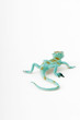 Toy lizard