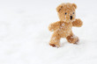 Teddy bear in snow