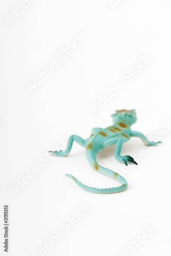 Foto: Toy lizard Toy lizard