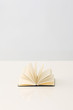 Open book with blank pages