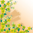 Flowering branch