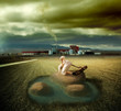 concepto de ecosistema y contaminacion