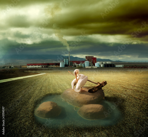 Illustration: concepto de ecosistema y contaminacion concepto de ecosistema y contaminacion