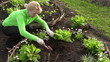 Adult woman working in summer garden