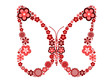 Butterfly made from many various flowers