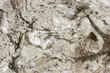 Limestone with mineral deposits