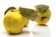 Quince