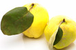 Quince