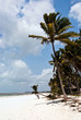 zanzibar spiaggia