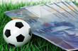 schweizerfranken mit fussball